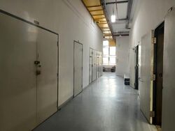 Csi Distribution Centre (D19), Factory #621073761